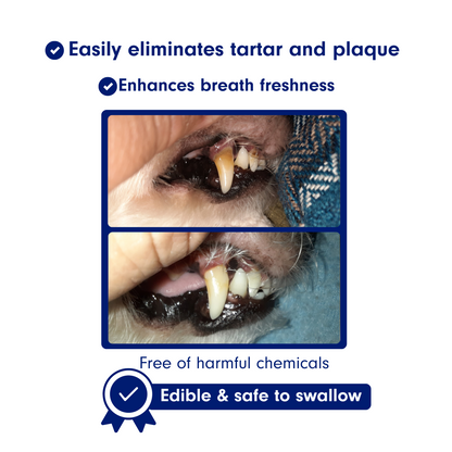 Natural Enzymatic Pet Toothpaste – Removes Tartar & Plaque