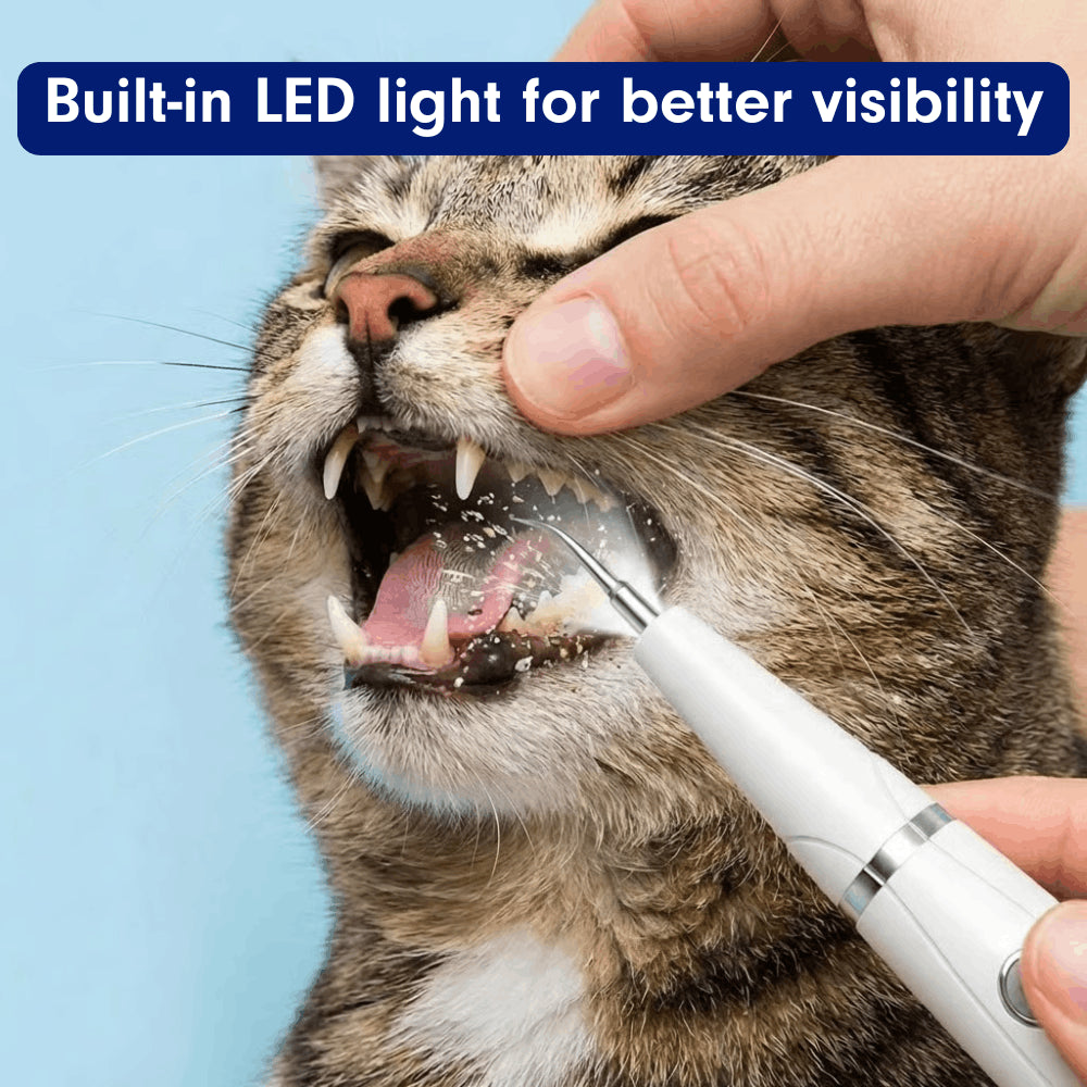 Silent Ultrasonic Teeth Cleaner for Cats