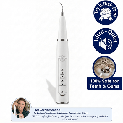 Silent Ultrasonic Teeth Cleaner for Cats