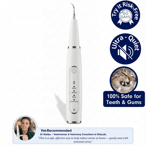 Silent Ultrasonic Teeth Cleaner for Cats