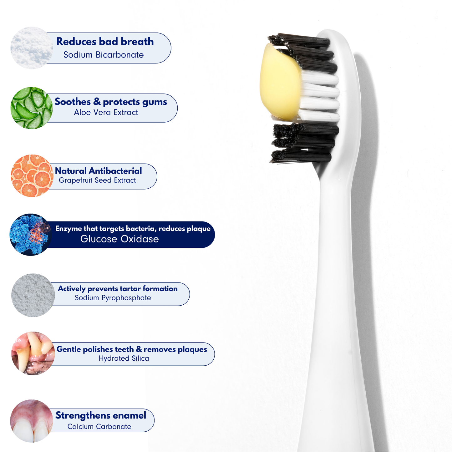 Natural Enzymatic Pet Toothpaste – Removes Tartar & Plaque