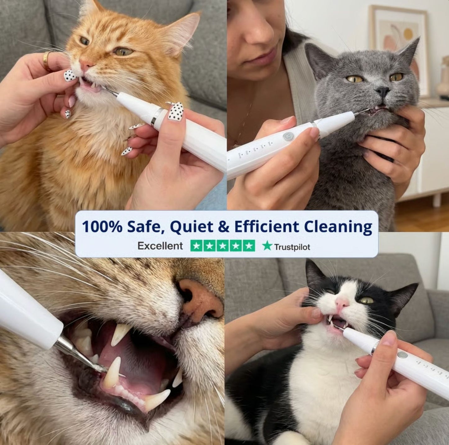 Silent Ultrasonic Teeth Cleaner for Cats