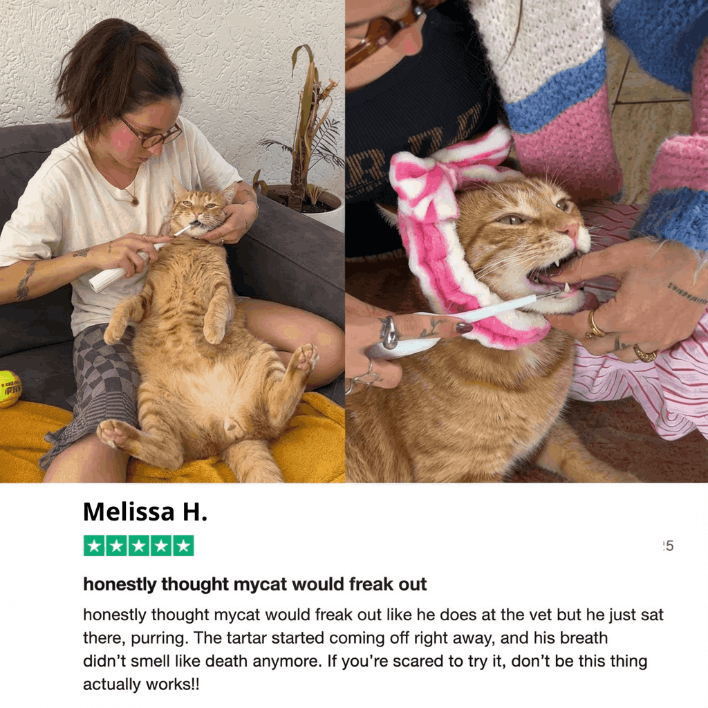 Silent Ultrasonic Teeth Cleaner for Cats