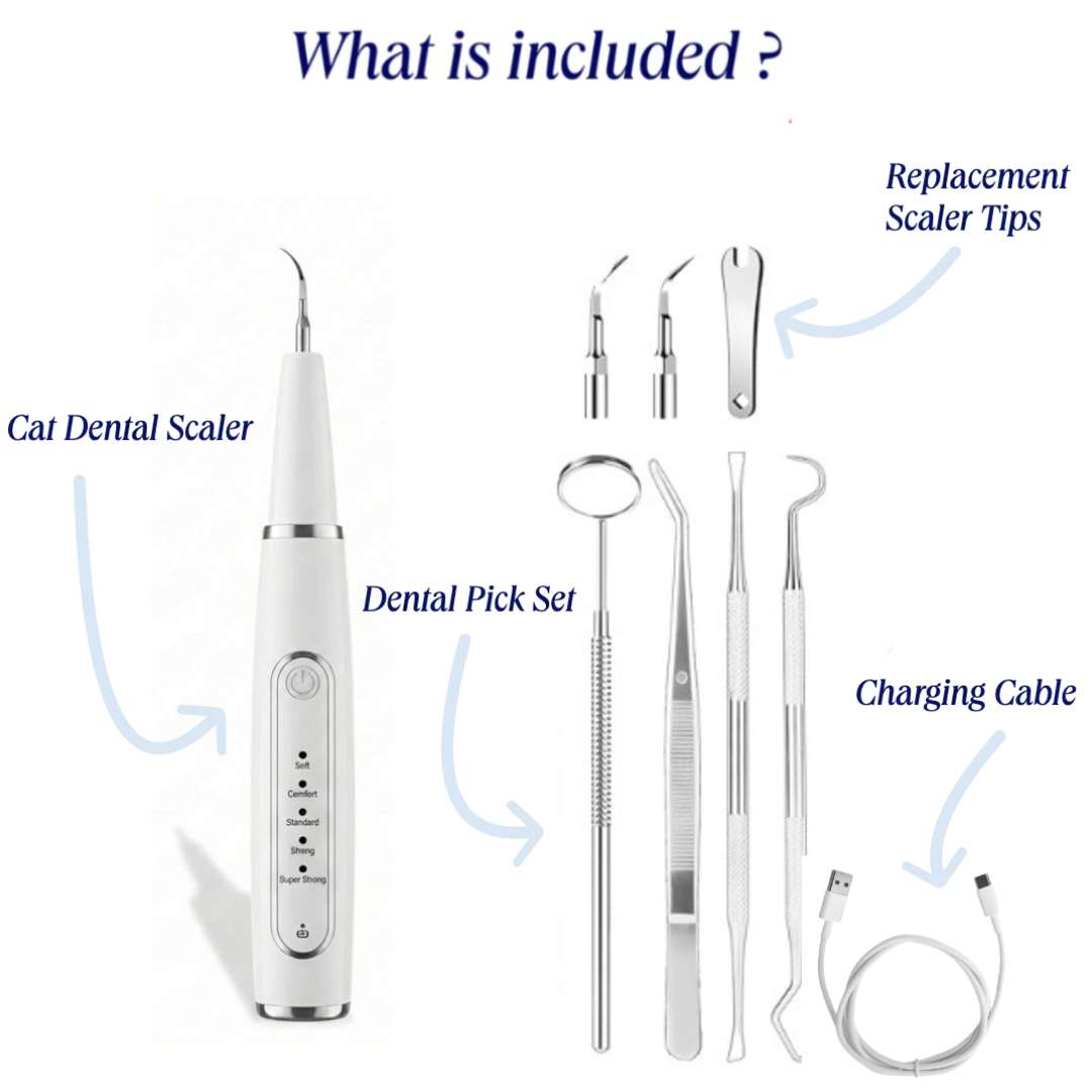 Silent Ultrasonic Teeth Cleaner for Cats